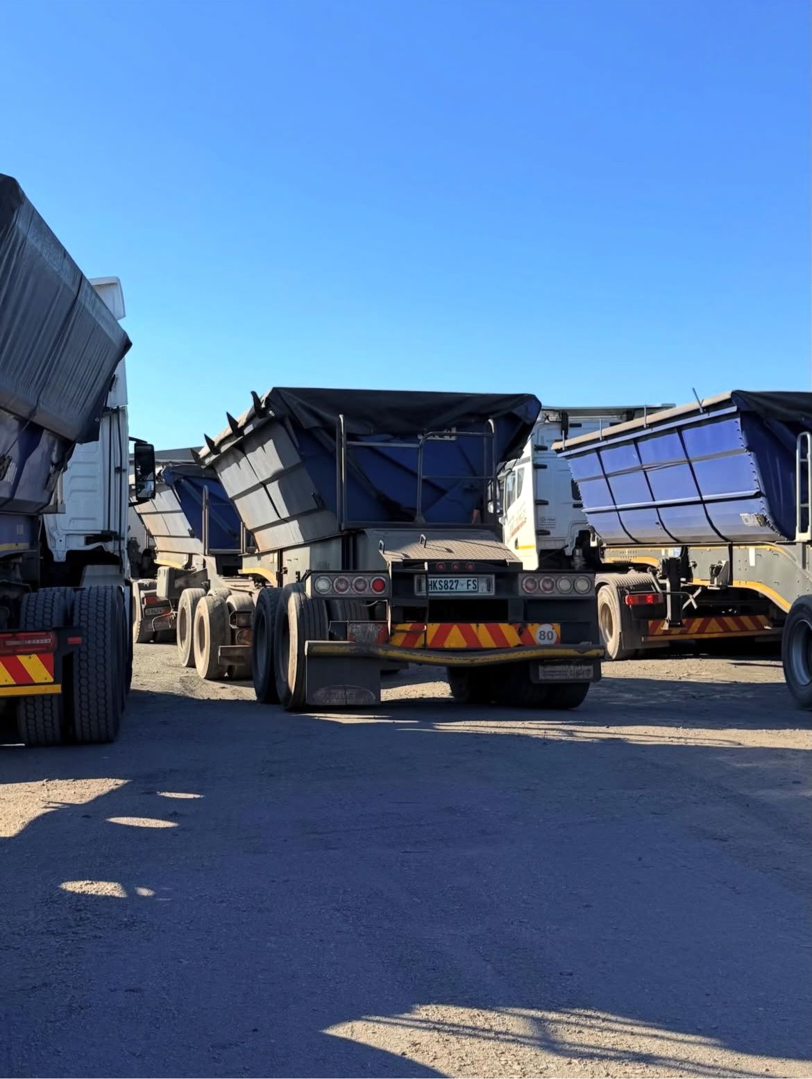 WhatsApp Image 2026-02-25 at 08.50.49