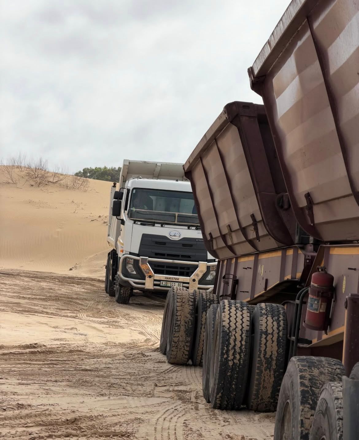 WhatsApp Image 2026-02-25 at 09.03.41